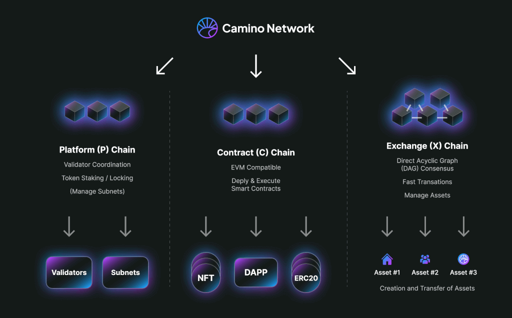 Primary network