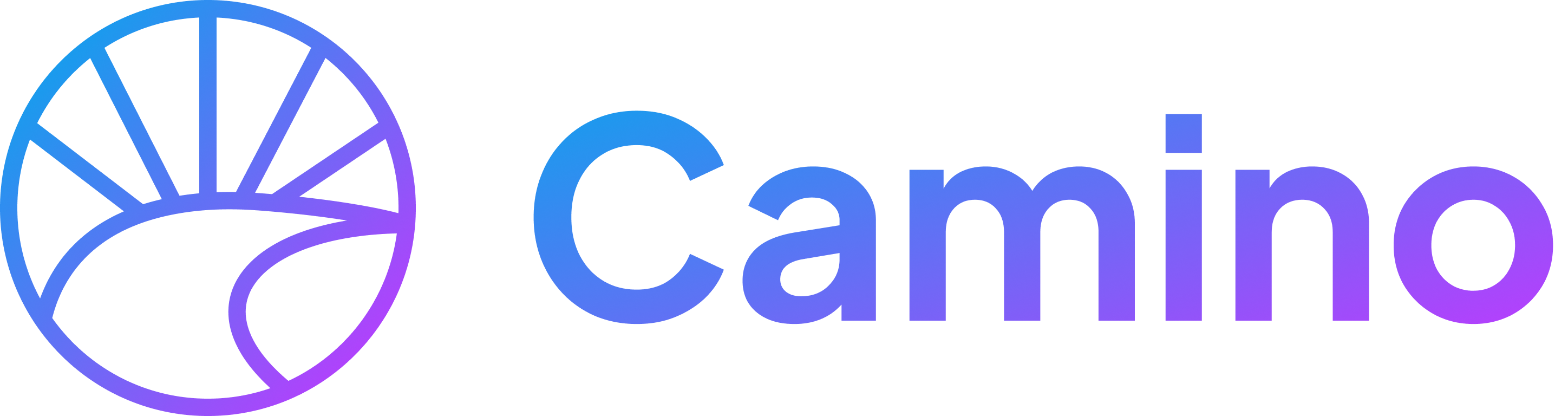 Camino Logo